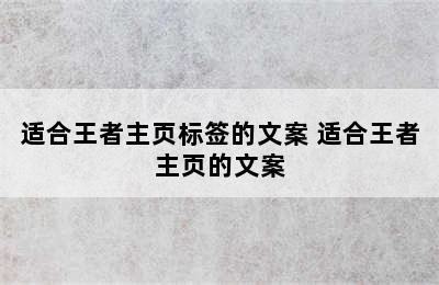 适合王者主页标签的文案 适合王者主页的文案